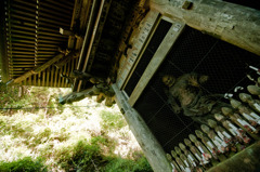 門番　施福寺