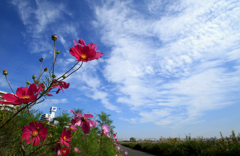 空に飛ぶ