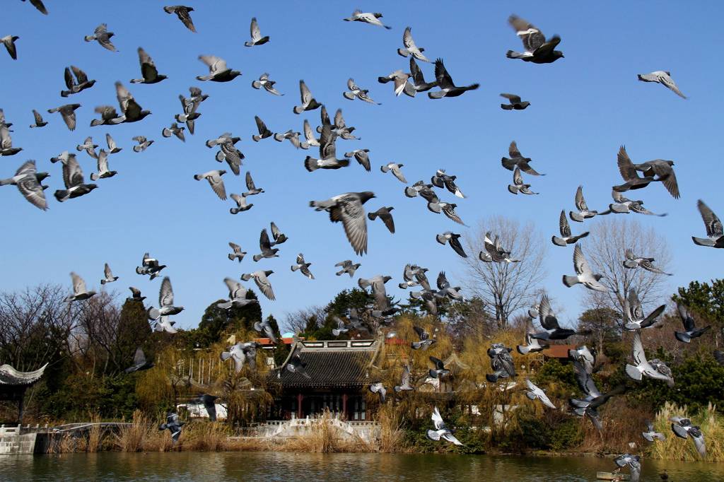 大阪市鶴見緑地