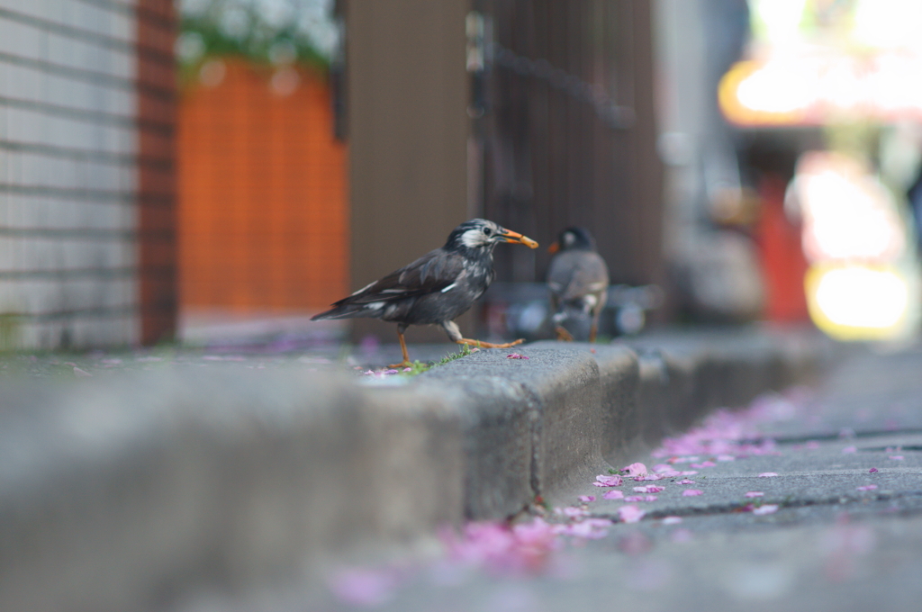 ごっはん～♪ごっはん～♪