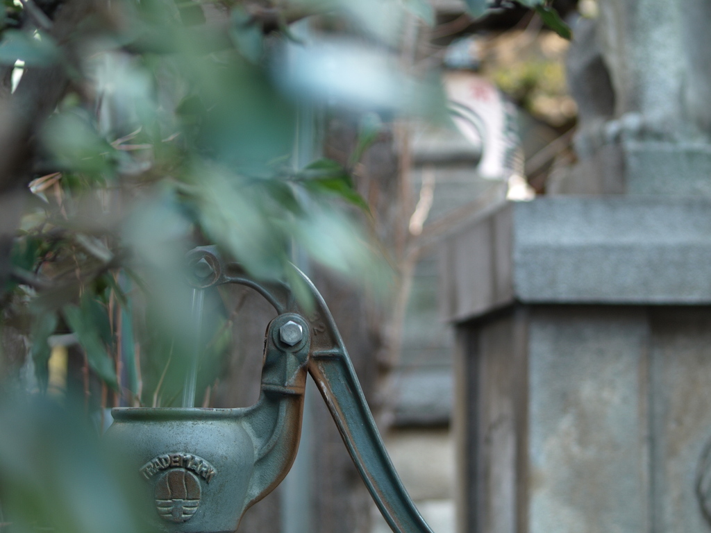 新宿区　鬼王神社(きおうじんじゃ)