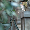 新宿区　鬼王神社(きおうじんじゃ)