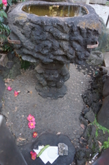 新宿区　鬼王神社(きおうじんじゃ)