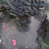 新宿区　鬼王神社(きおうじんじゃ)