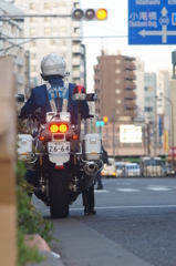 ブンブン！！