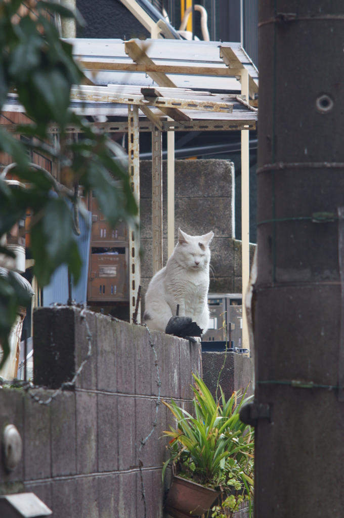 いつもの場所(うたたね)