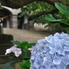 迎える