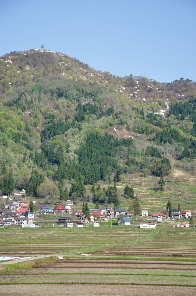 飯山の春