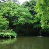 静けさ
