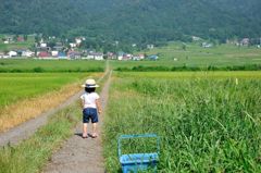 夏の道