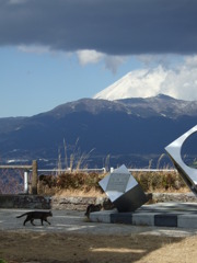 香貫山3