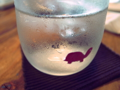 カメ