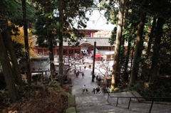 比叡山ドライブ3