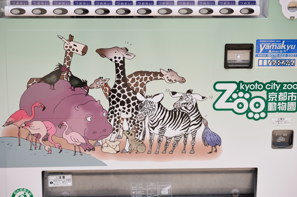 京都市動物園16