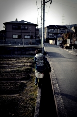 いつもの帰り道