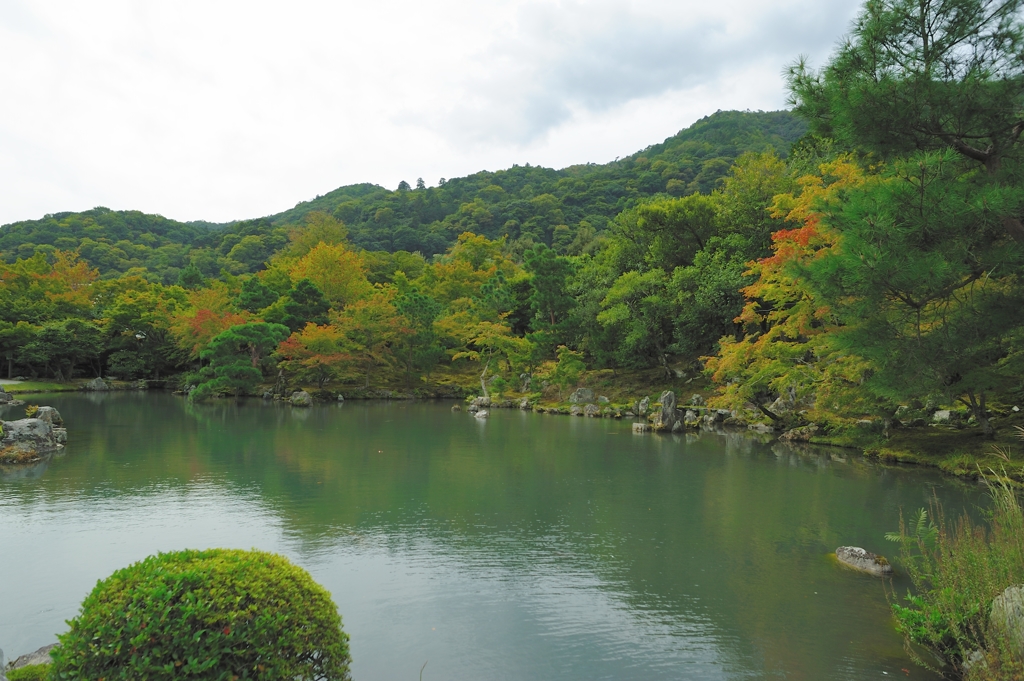 天龍寺3