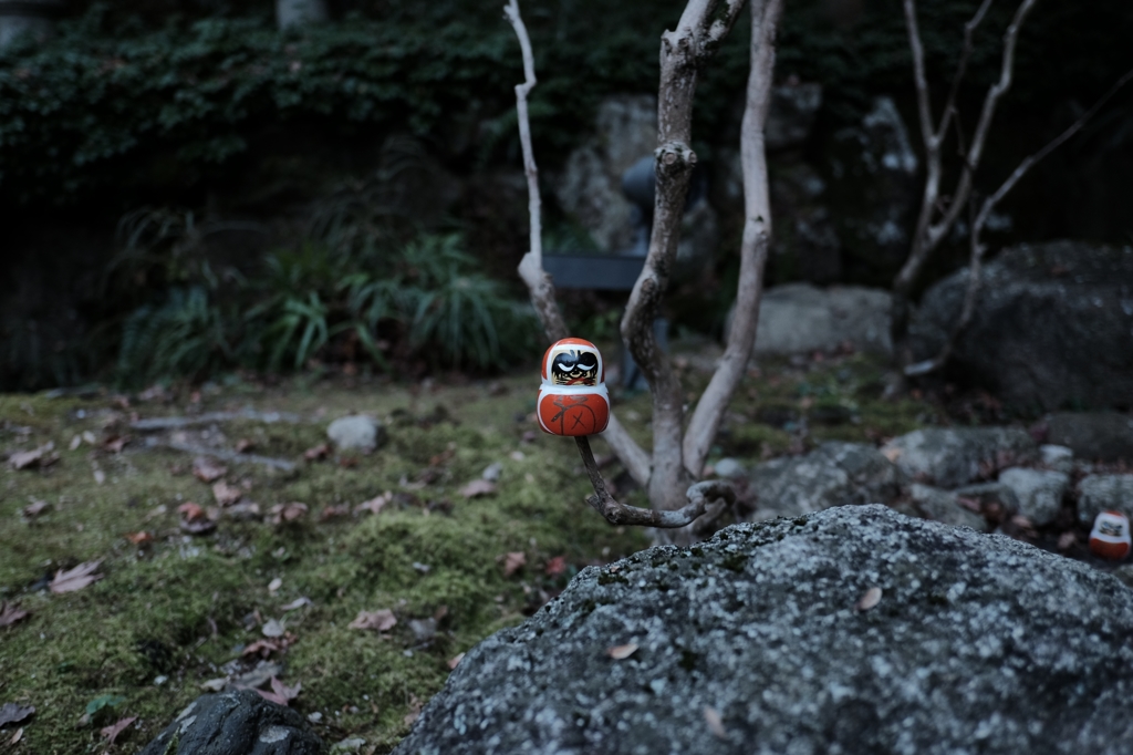 木登りダルマ