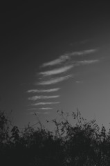 翼を描く雲