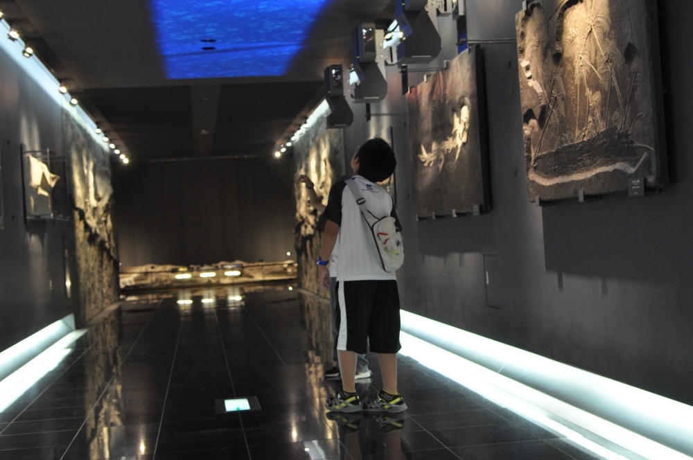 福井旅3