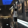 福井旅3