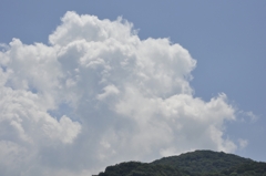 ほぼわたがし