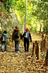 摂津峡3　山道