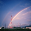 雨上がり