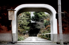 京都ぶらり2013　4　