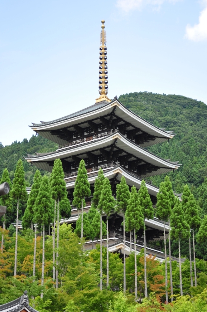 福井旅21