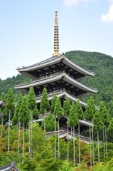 福井旅21