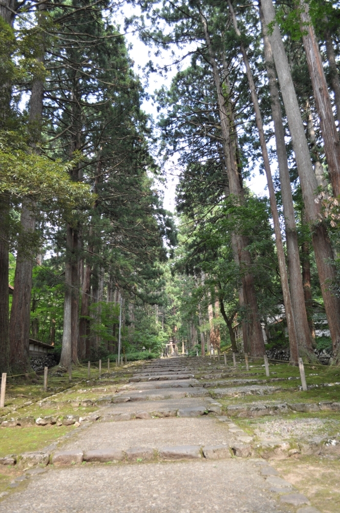 福井旅24