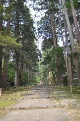 福井旅24