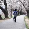 ＭＹ桜ＷＡＹ