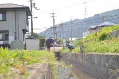 夢中