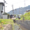 夢中