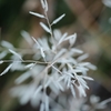 Winter color 16