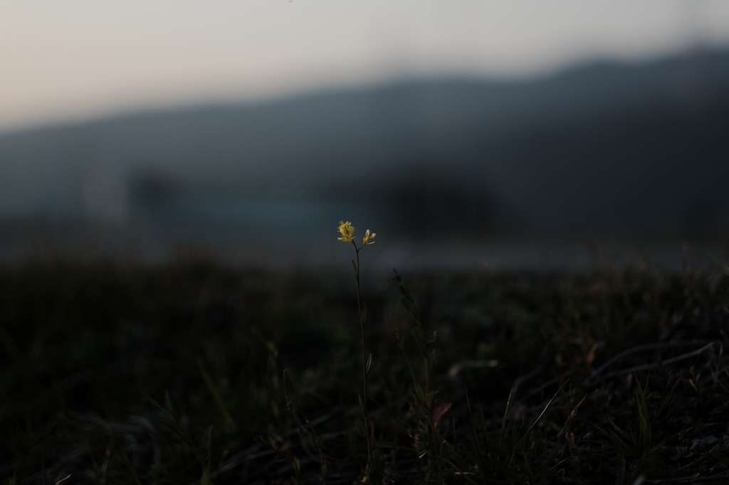 佇