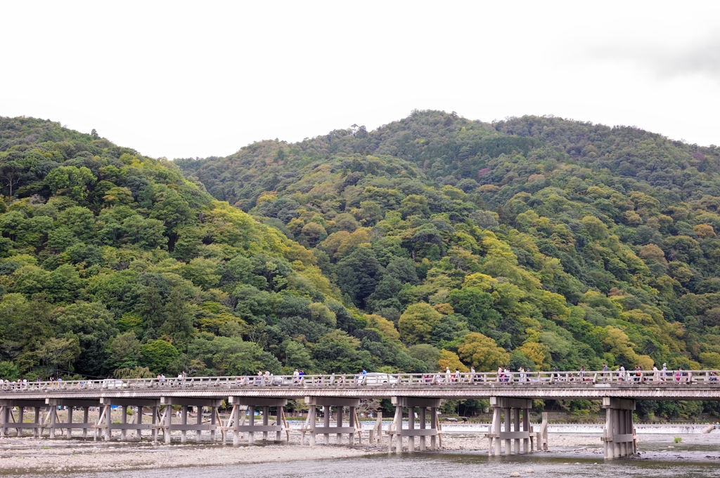 渡月橋