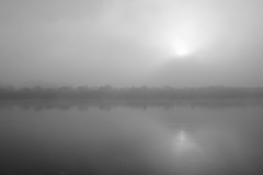 Morning of thick fog