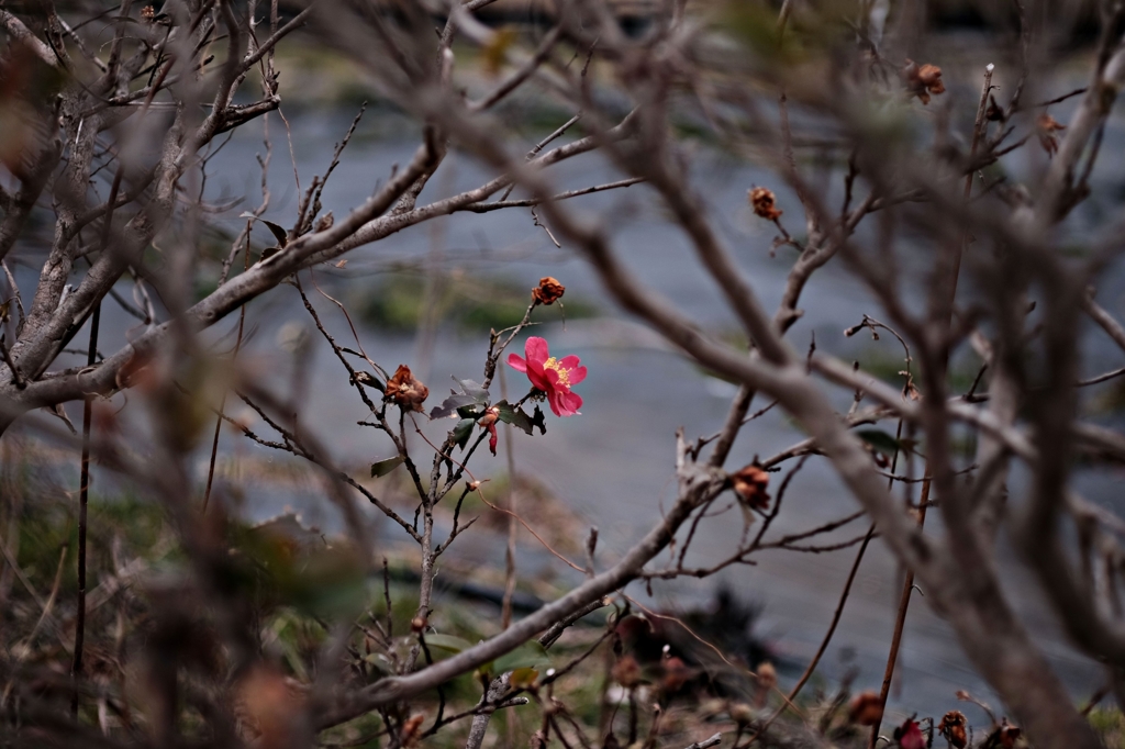 Winter color 25