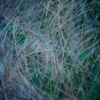 Winter color 26