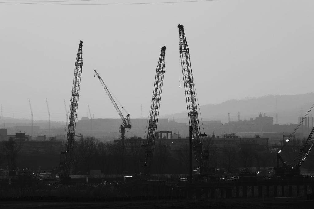 Crane.