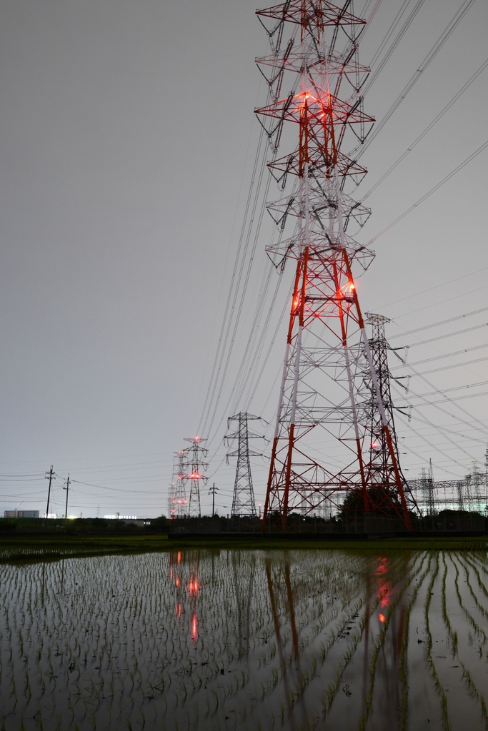 REFLECTION{Rice field&Steel tower}