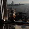 The pig seeing a sea
