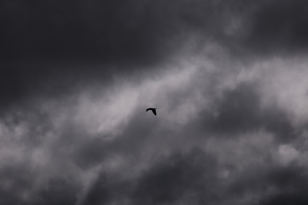 Dark cloud