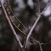 Winter color 23