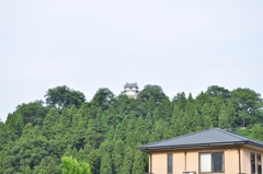福井旅34