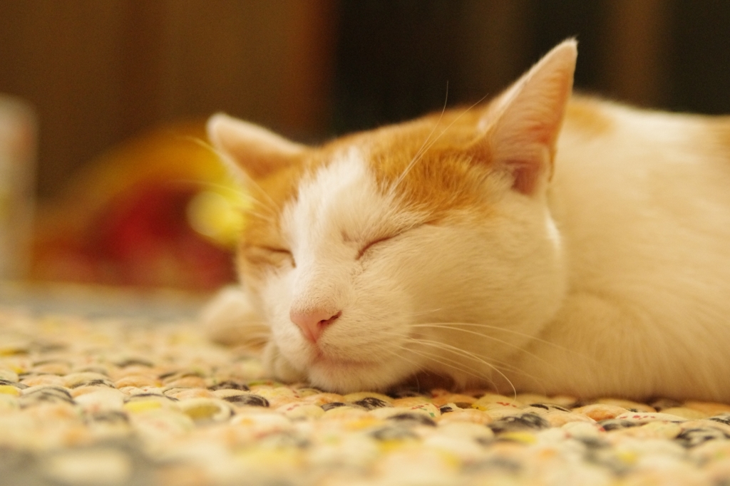 Zzz
