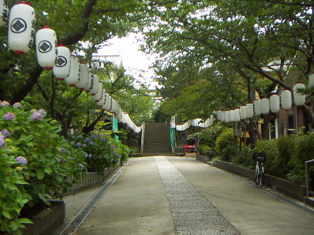 小動神社境内