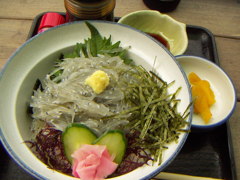 生シラス丼